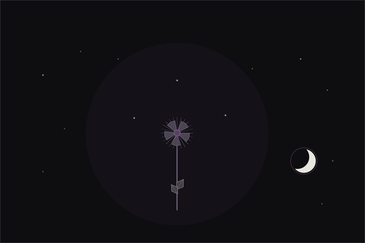 Jasmine meaning and uses: a twining spray of small white jasmine flowers opening beneath a crescent moon, in the Lunar Haus style
