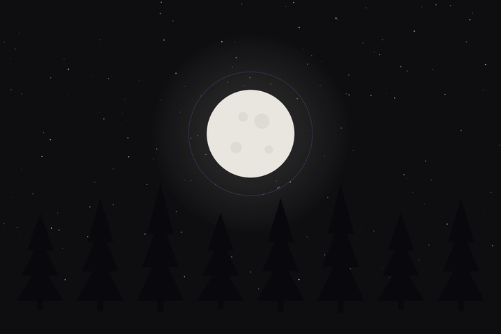 Beaver Moon: a full moon above a silhouetted pine forest