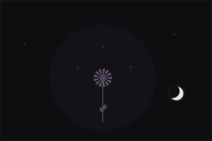 Chamomile meaning and uses: apple-scented white chamomile daisies with golden centres beneath a crescent moon, in the Lunar Haus style