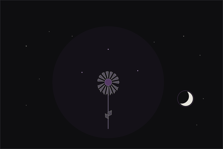 Echinacea meaning and uses: a purple coneflower with a spiny golden centre beneath a crescent moon, in the Lunar Haus style