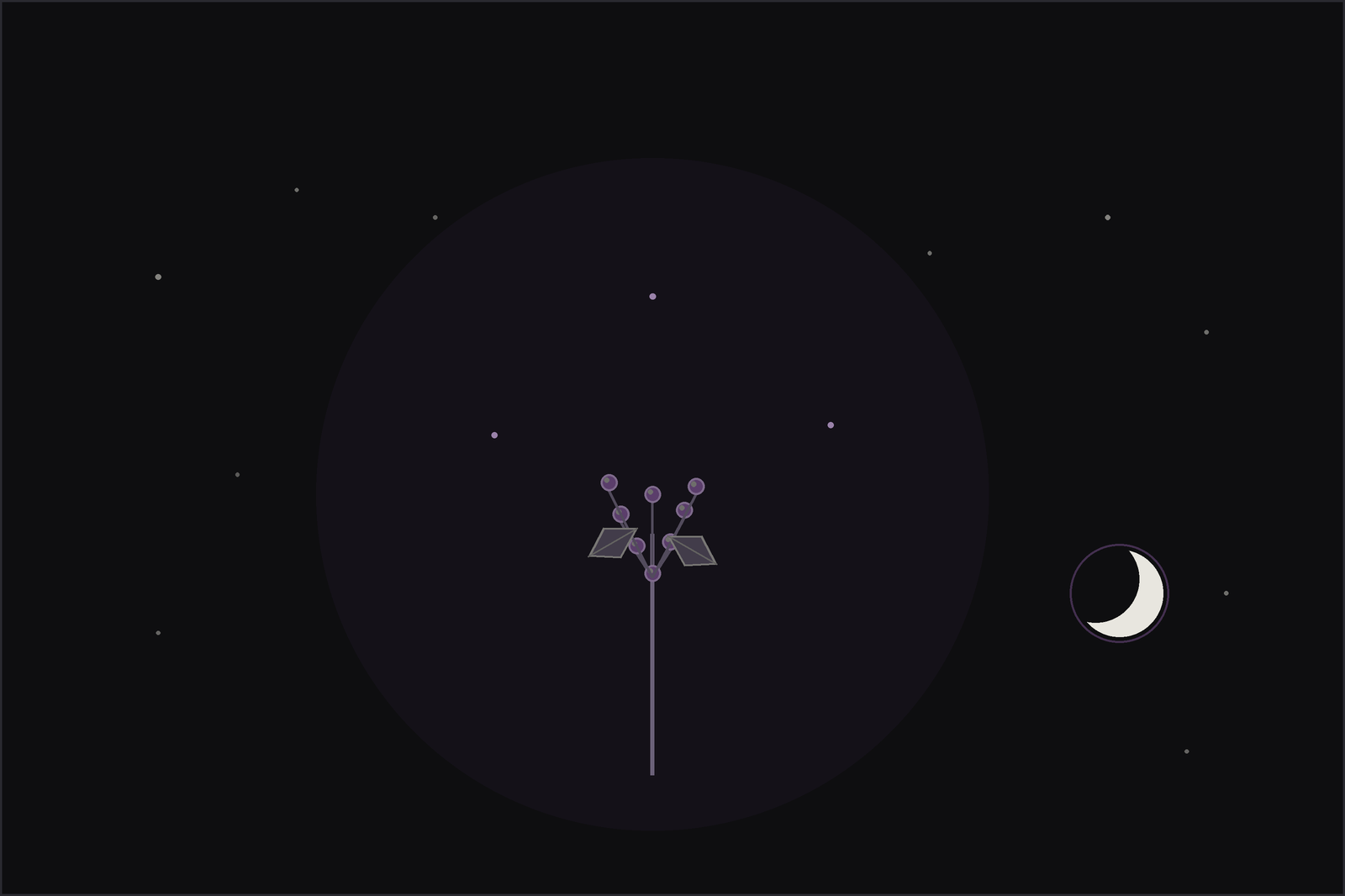 Elder meaning and uses: creamy elderflower umbels and dark elderberries on arching branches beneath a crescent moon, in the Lunar Haus style