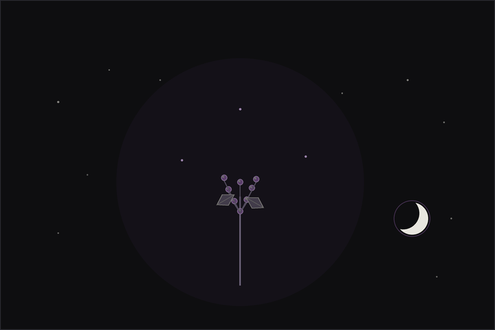 Elder meaning and uses: creamy elderflower umbels and dark elderberries on arching branches beneath a crescent moon, in the Lunar Haus style