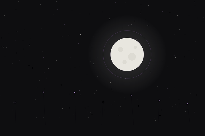 Pink Moon: a full moon over a field of spring wildflowers