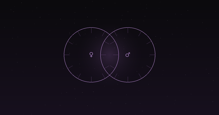 Synastry chart: two overlapping birth chart wheels, for compatibility