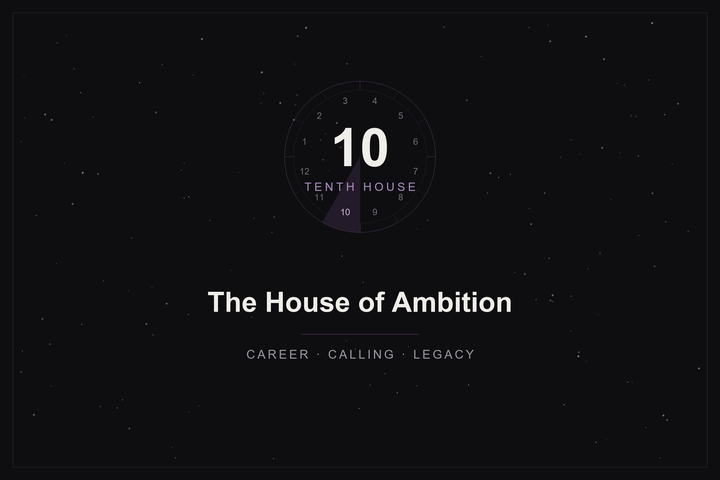 Tenth house in astrology: the house of ambition highlighted in plum on a twelve-house wheel over a starlit sky