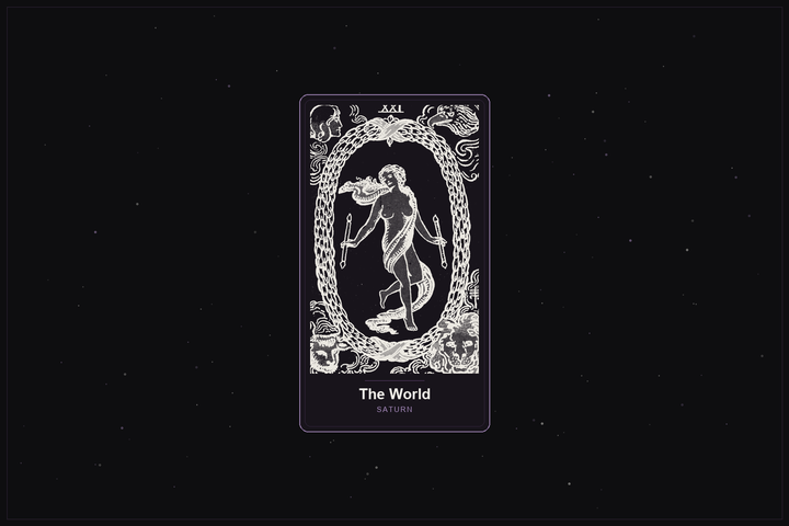 The World tarot card in the Lunar Haus style: the classic Rider-Waite World card rendered as off-white outlines on a dark, starlit card with a plum frame
