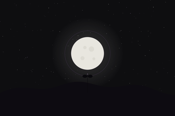 Worm Moon: a full moon above a small seedling breaking through the soil